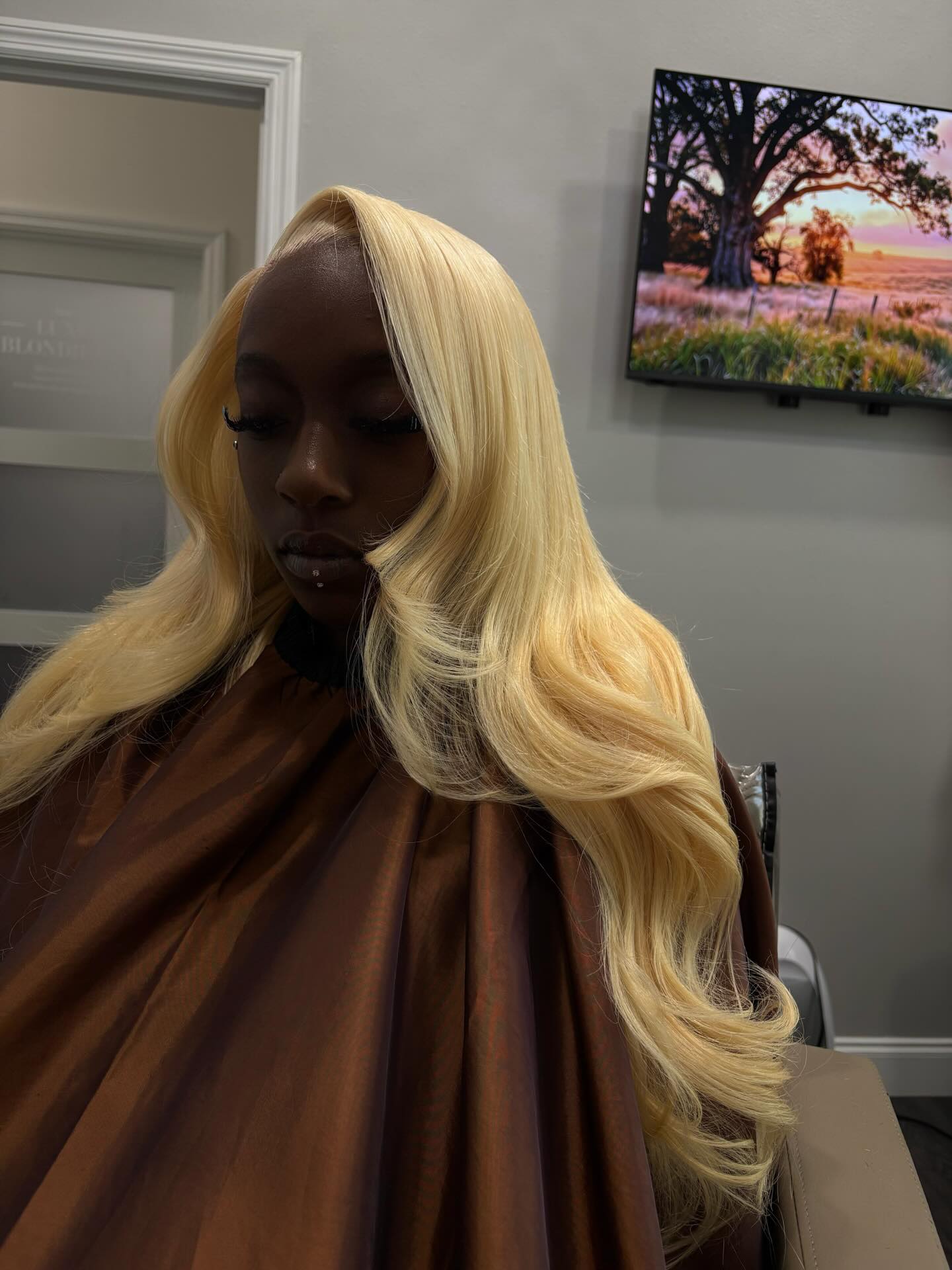 Vietnamese Blonde HD Full Lace Wig