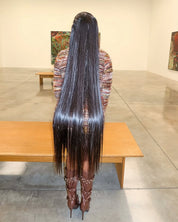 HD Straight Full Frontal Wig (Raw Vietnamese Hair)