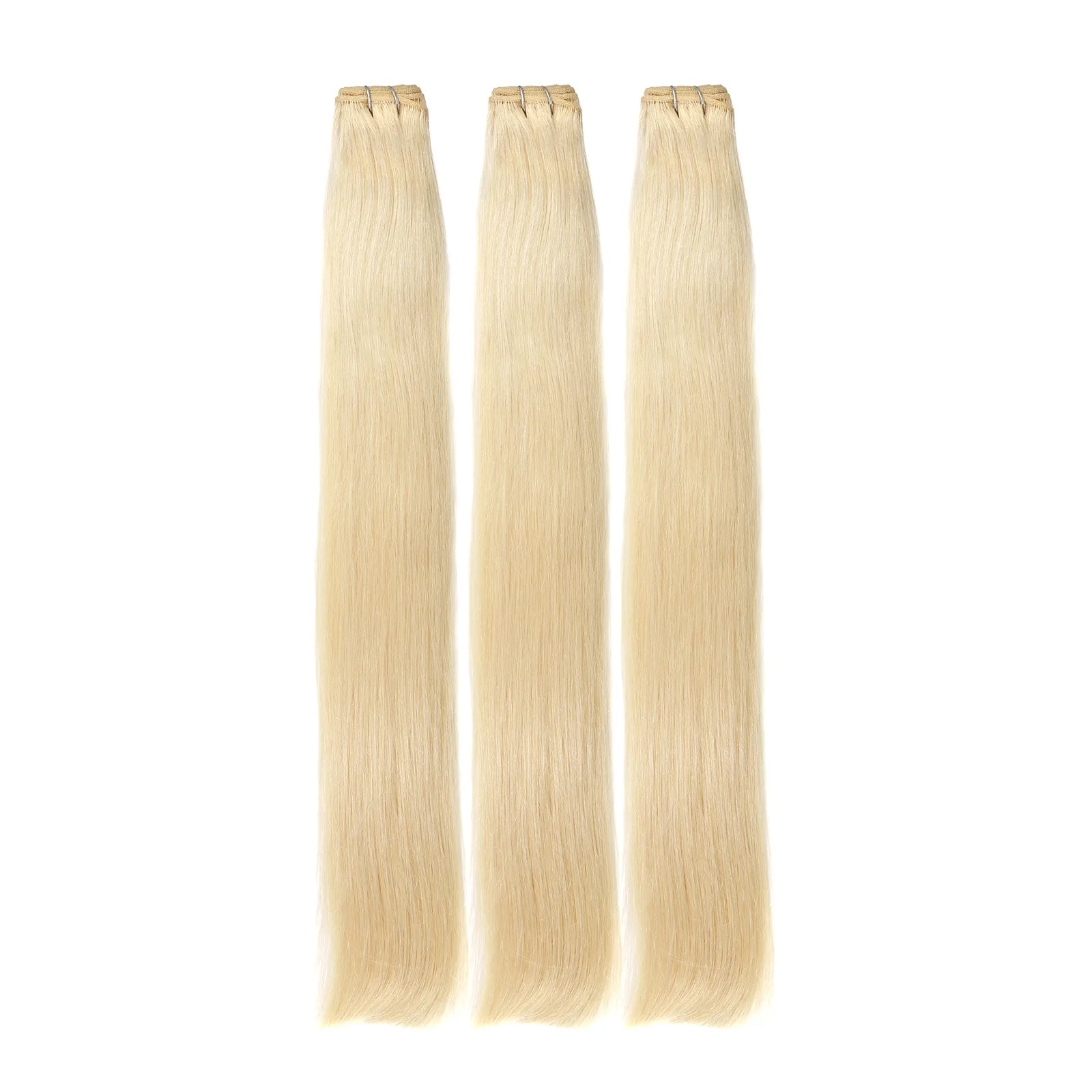 Blonde Straight Clip Ins (Same Day)